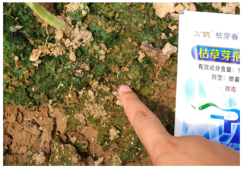 1513324339298536eYN0.png blob.png