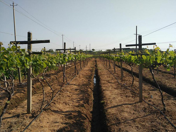 1513327312878241XuKZ.jpg 圖片49.jpg