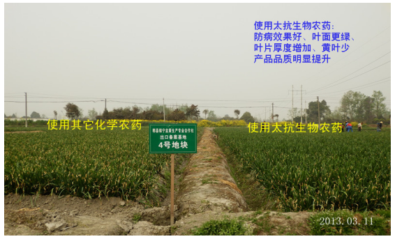 1513333111806346P1b2.png blob.png