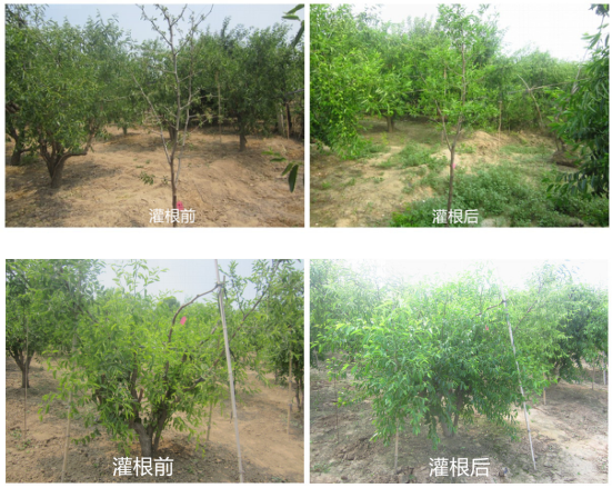 15133340612222765gRM.png blob.png