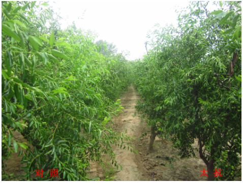 151333408290194195im.png blob.png