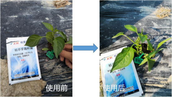 1515669635645883kZ7q.png blob.png