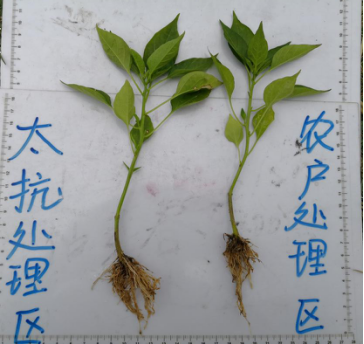 1515669665336253bsKk.png blob.png