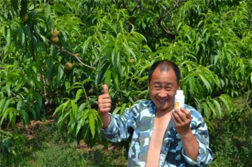 1527748420981455VSxG.png 圖片5.png