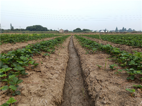 1530084714311586gHLM.png 圖片2.png