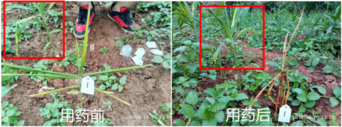 1531280632546750X8rn.png 圖片2.png