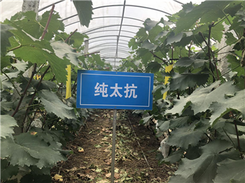 1533177680628651jBbE.png 圖片12.png