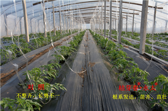 1536286900272022oVzB.png 圖片5.png