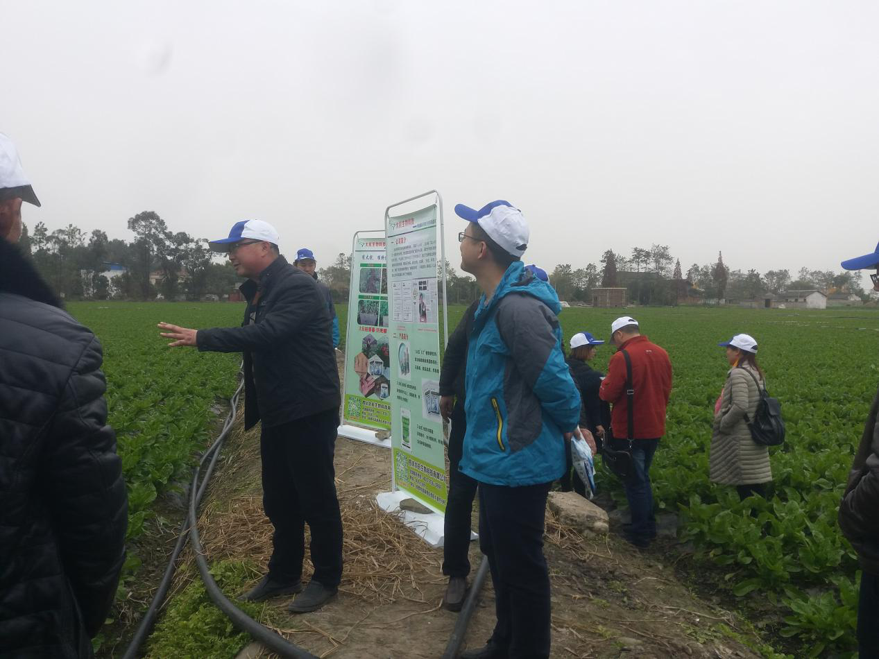 1546482189643310PLNs.png 圖片2.png