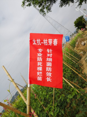 1554774243835647iu6Z.png 圖片13.png