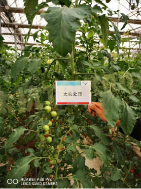 157481913972820477vq.png blob.png