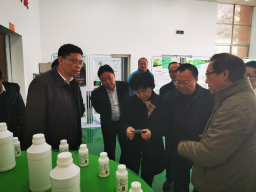 1576024879149161Ko0p.png blob.png