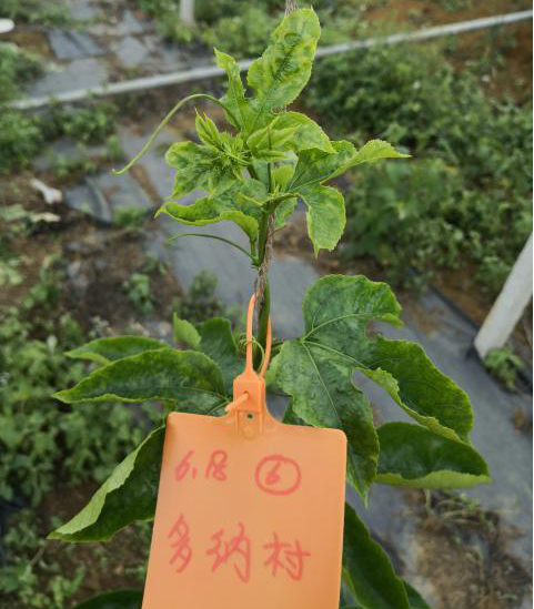 15765498104001154fEi.png 圖片12.png