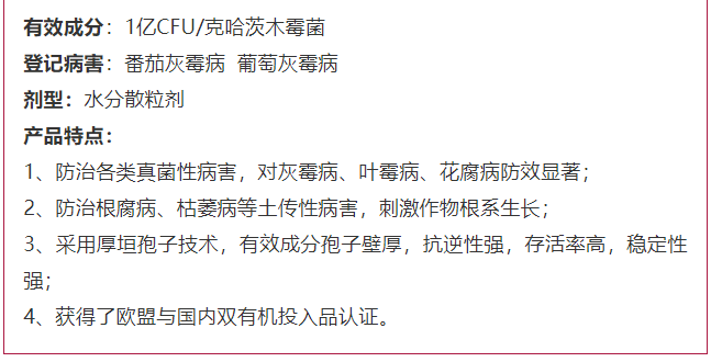 1610506465694754DE4Q.png blob.png