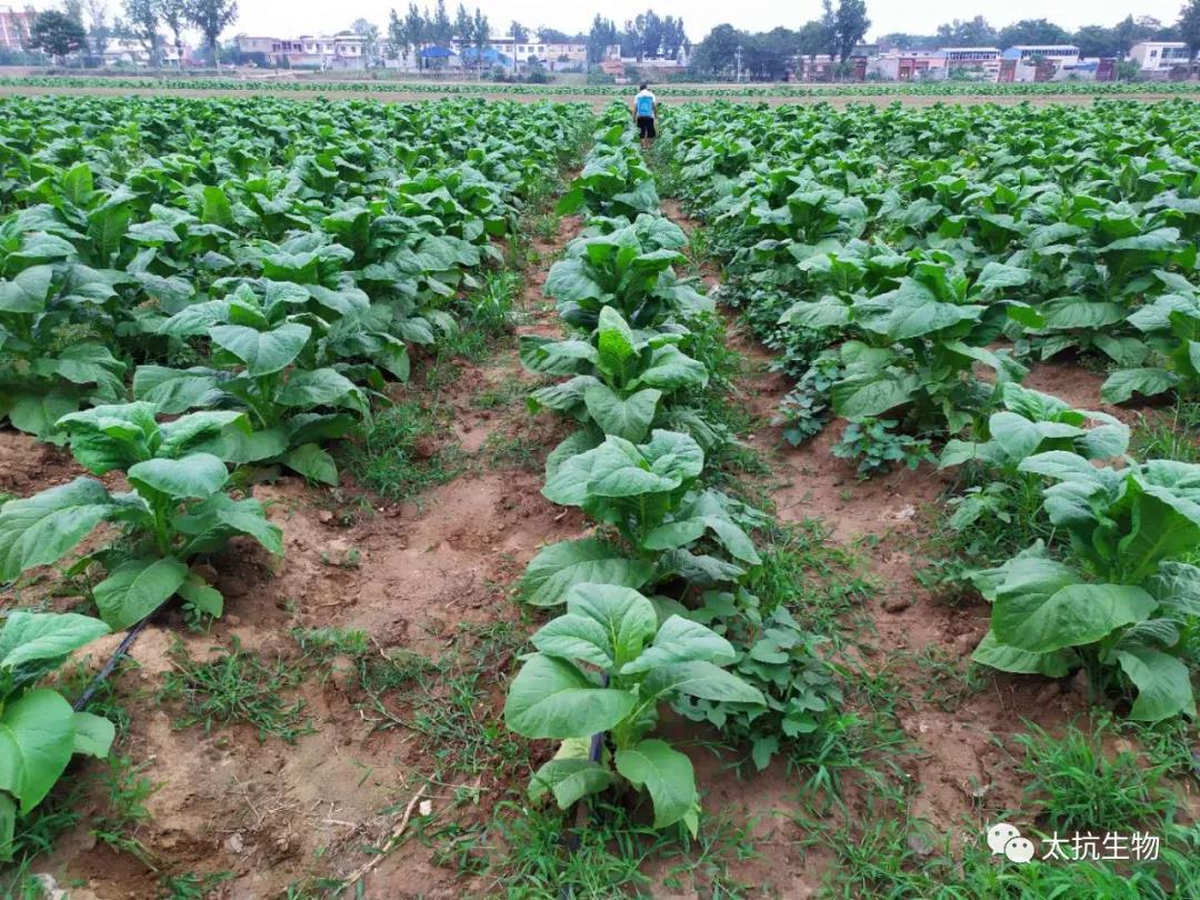 1634826516822166YnrG.jpg 微信圖片_20211021221330.jpg