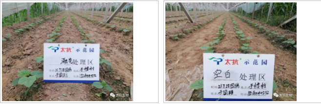 1638348740543946thrh.png 微信截圖_20211201165941.png