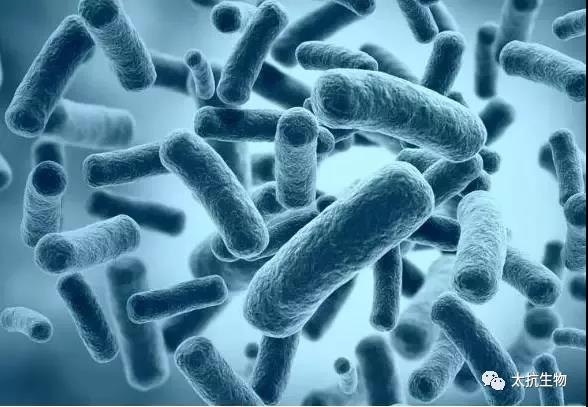 1639373912215798CMre.jpg 微信圖片_20211213134725.jpg